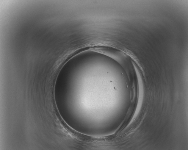 X0000060240577200511041259