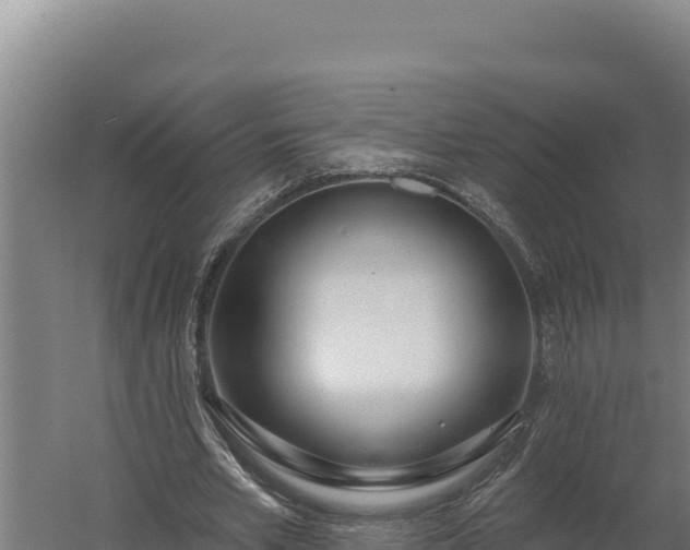 X0000060240581200511041259