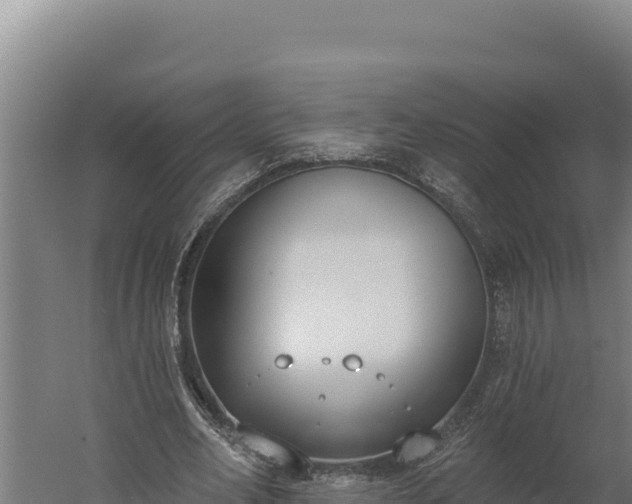 X0000060240582200511041259