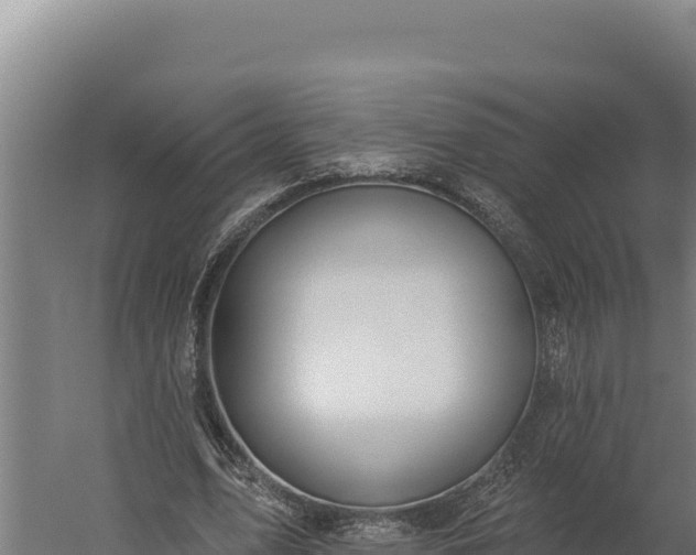 X0000060240583200511041259