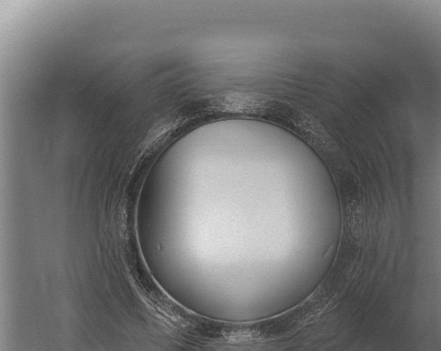 X0000060240587200511041259