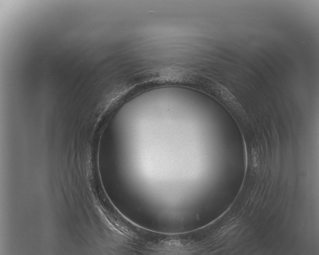 X0000060240588200511041259