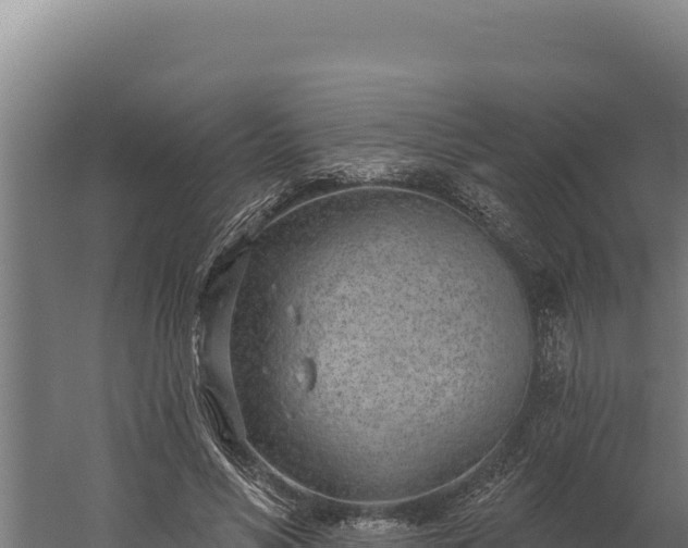 X0000060240590200511041259