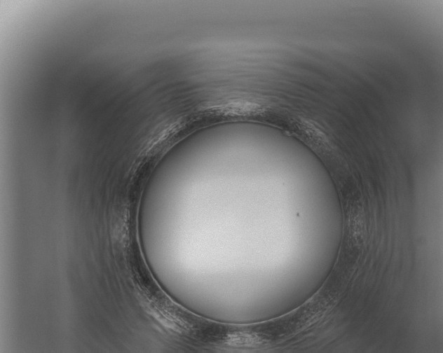 X0000060240591200511041259