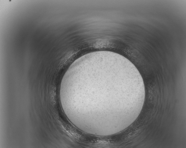 X0000060240592200511041259