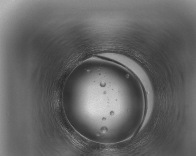 X0000060240593200511041259