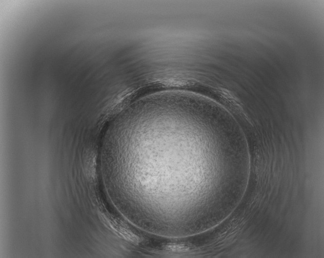 X0000060240596200511041259