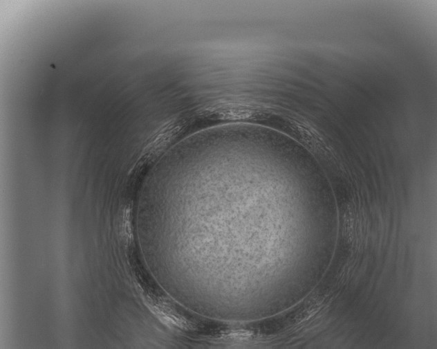 X0000060240598200511041259