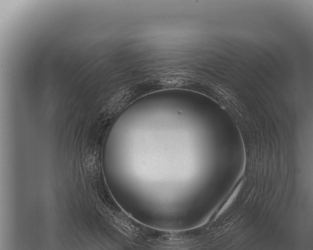 X0000060240601200511041259