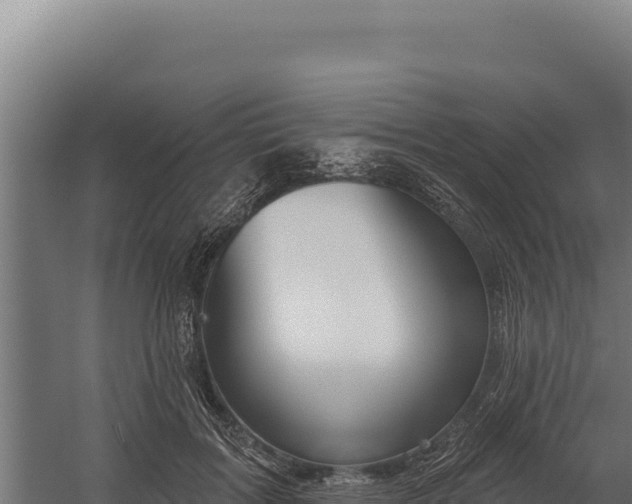 X0000060240603200511041259