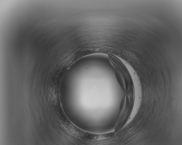 X0000060240607200511041259