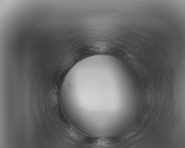 X0000060240612200511041259