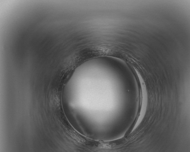 X0000060240613200511041259