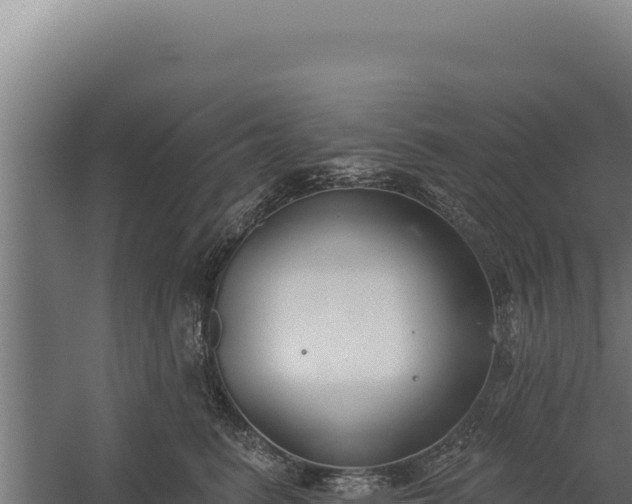 X0000060240615200511041259