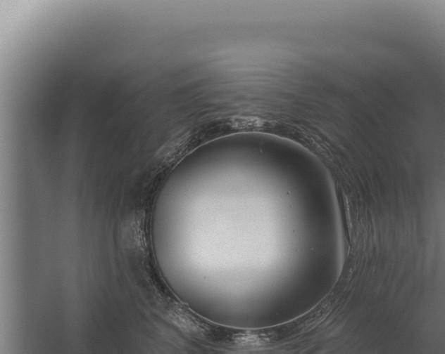 X0000060240616200511041259