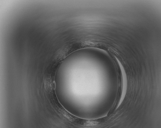 X0000060240617200511041259