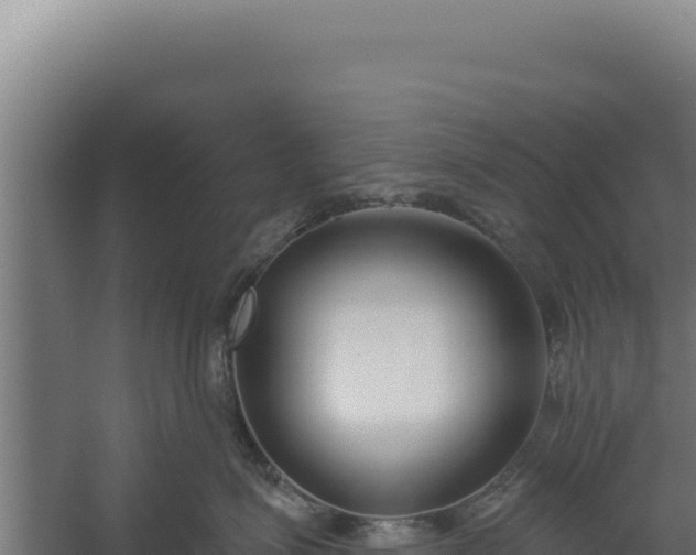 X0000060240623200511041258