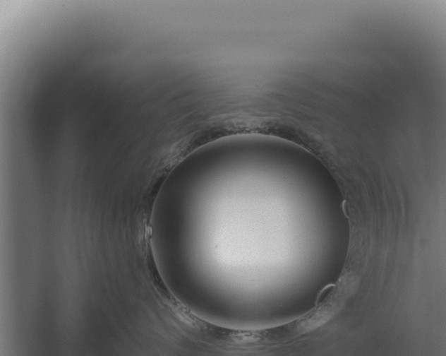 X0000060240624200511041258