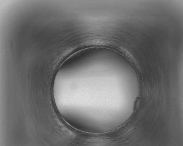 X0000060240625200511041258