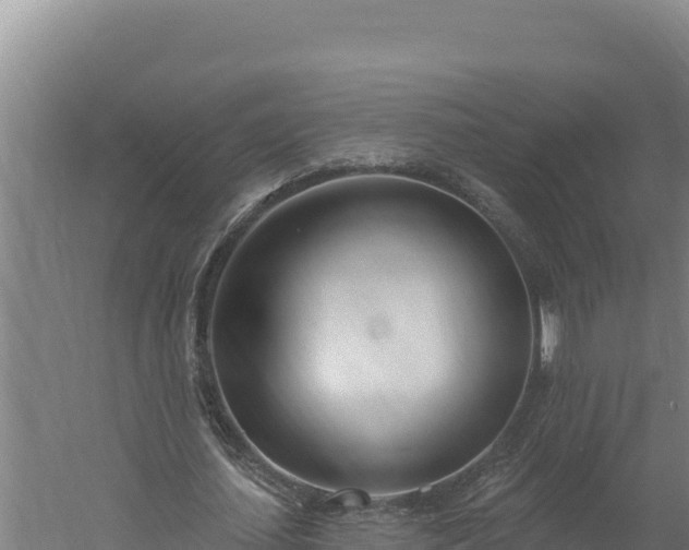 X0000060240627200511041258