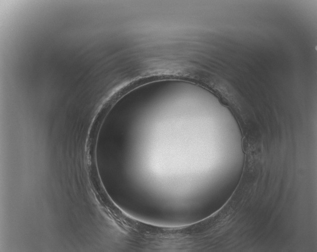 X0000060240628200511041258