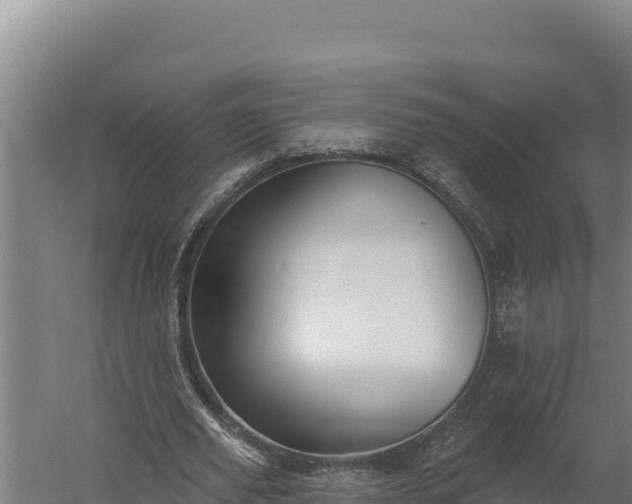 X0000060240629200511041258