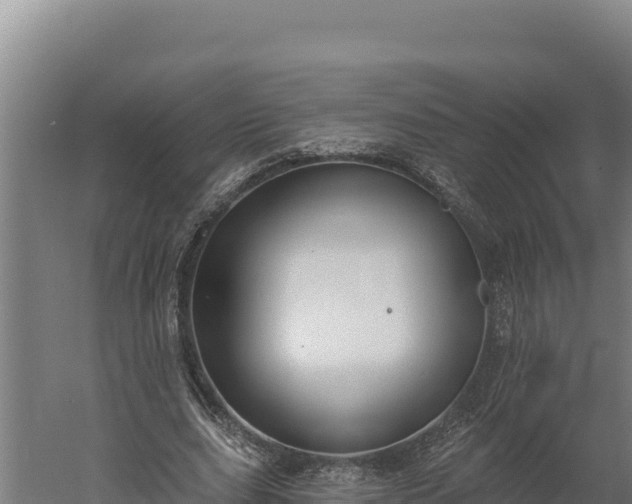 X0000060240631200511041258