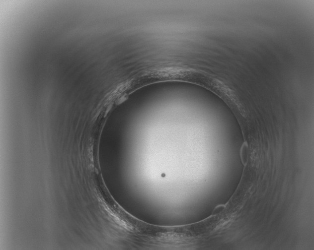 X0000060240633200511041258