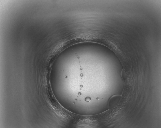 X0000060240635200511041258