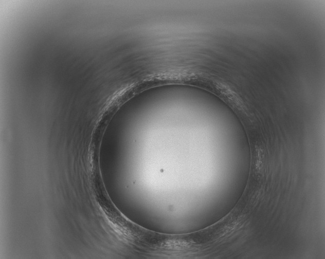 X0000060240636200511041258