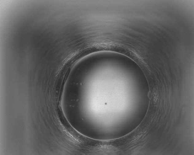 X0000060240637200511041258