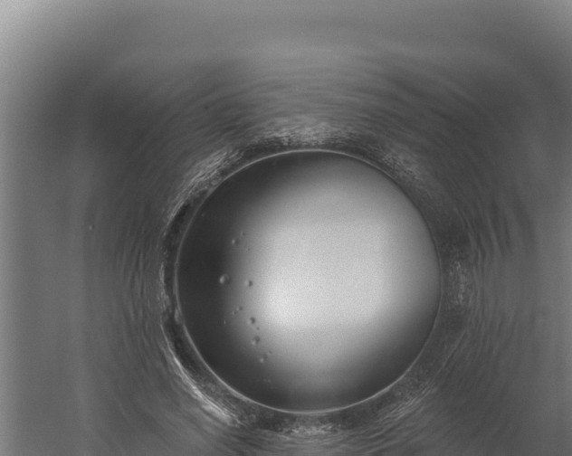 X0000060240638200511041258