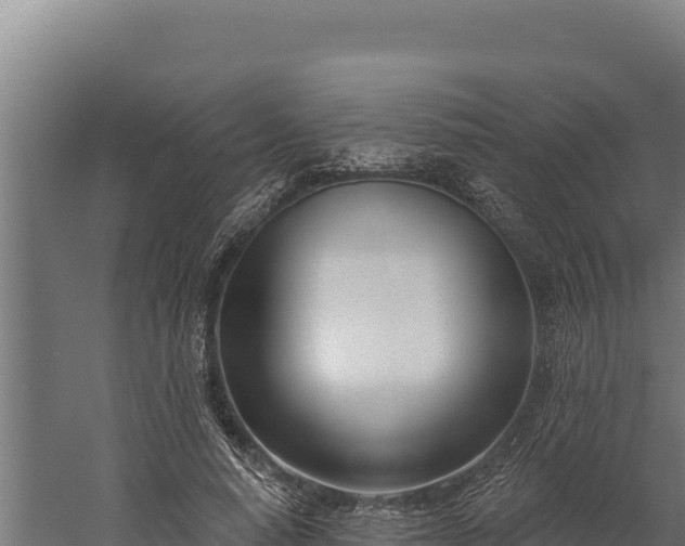 X0000060240640200511041258