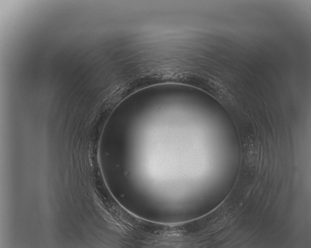 X0000060240643200511041258