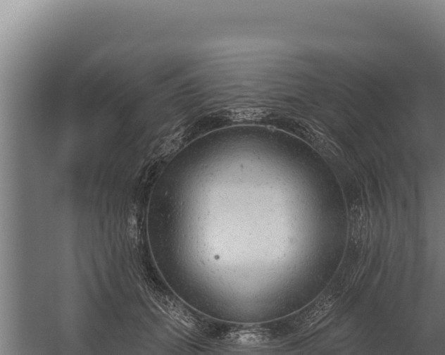 X0000060240655200511041258