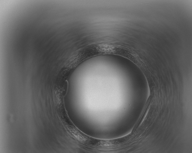 X0000060240658200511041258