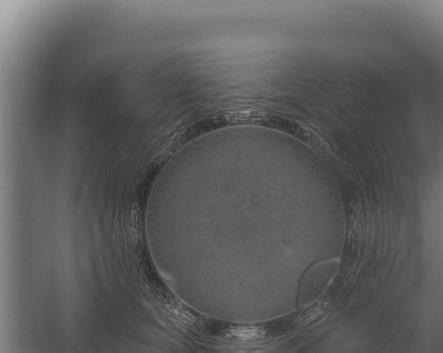 X0000060240659200511041258