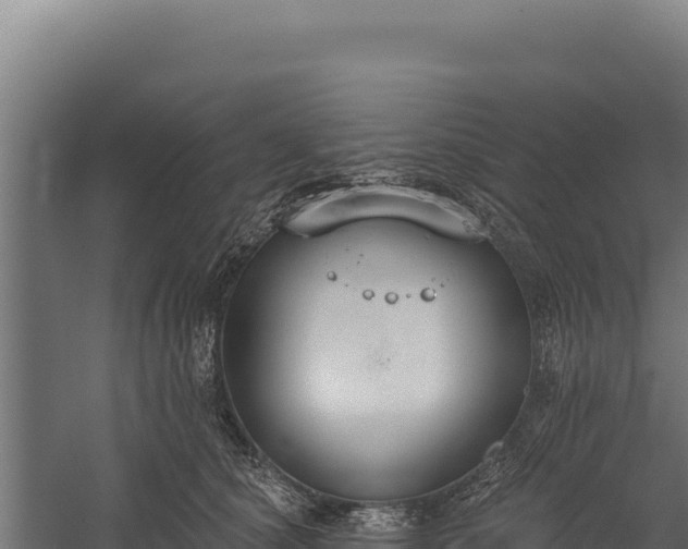 X0000060240660200511041258