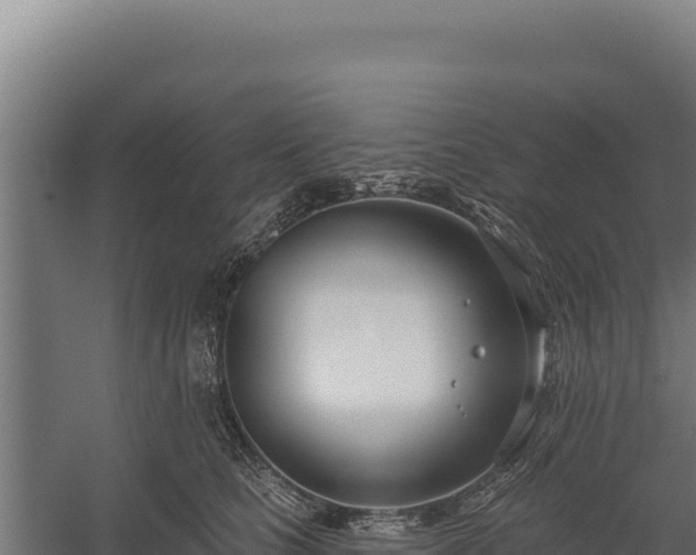 X0000060240661200511041258