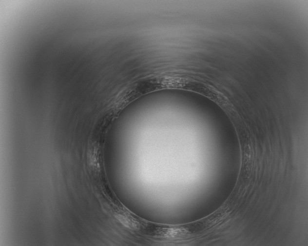 X0000060240663200511041258