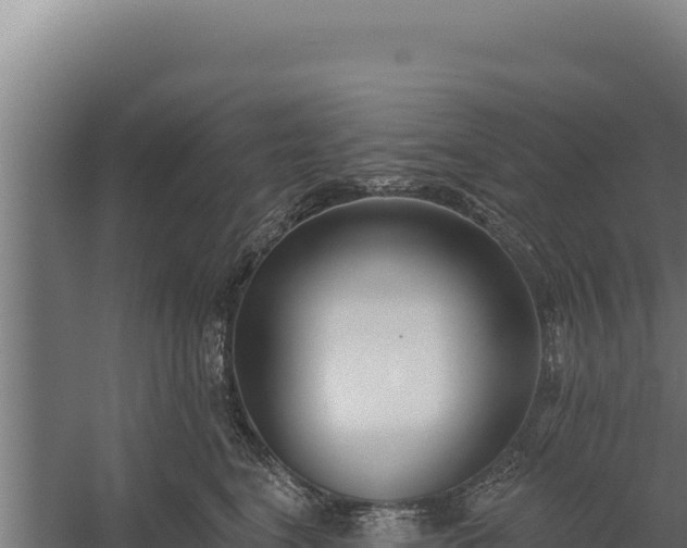 X0000060240664200511041258