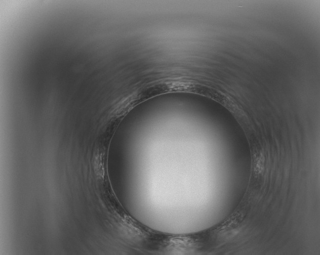 X0000060240666200511041258