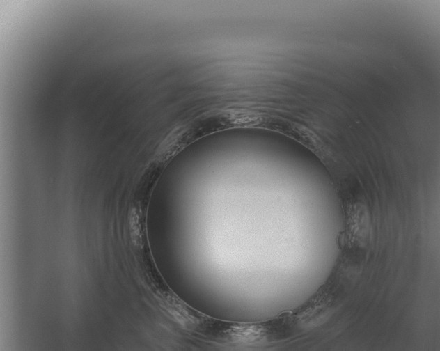 X0000060240667200511041258