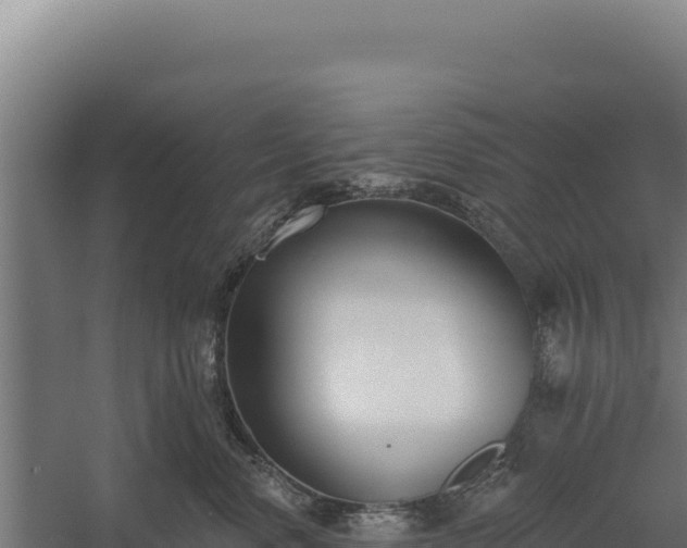 X0000060240668200511041258