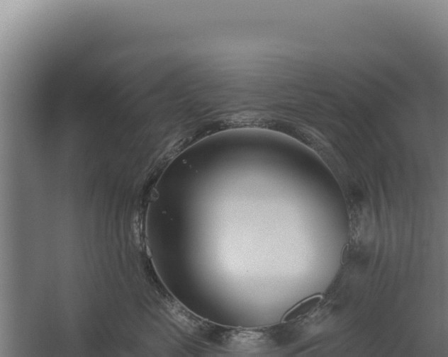 X0000060240669200511041258