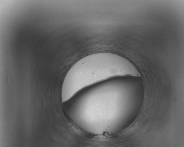 X0000060240672200511041258