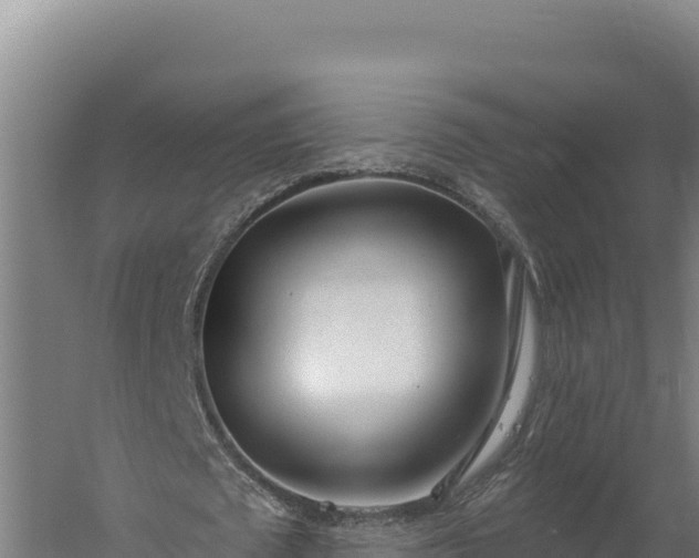 X0000060240673200511041258