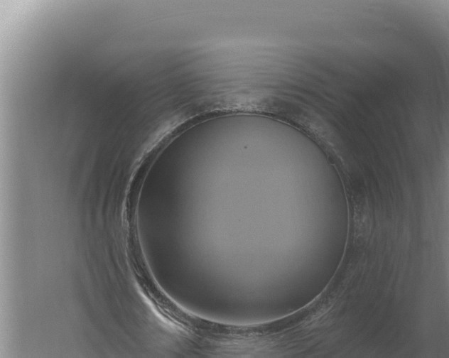 X0000060240674200511041258