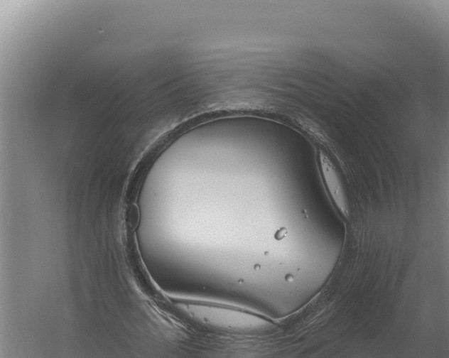 X0000060240676200511041258