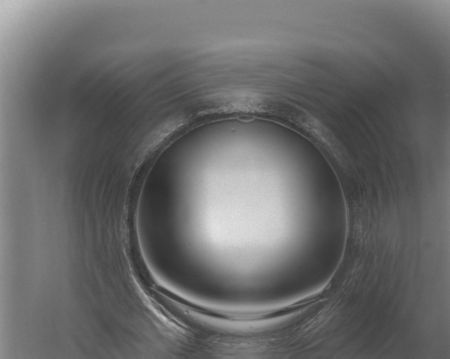 X0000060240677200511041257